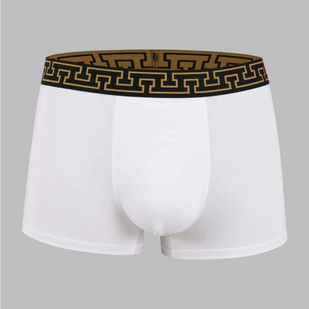 SHEIN White Boxer Briefs NWT XL